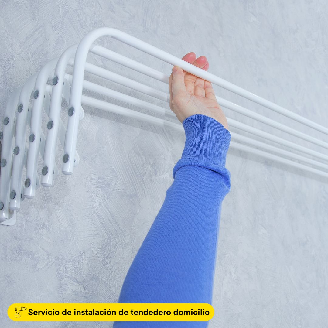 IMAGEN INST TENDEDERO 4